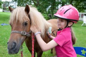 pony camp cheshire