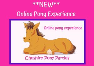 Online pony experience