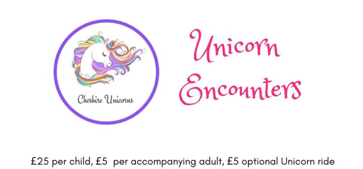 Unicorn Encounter