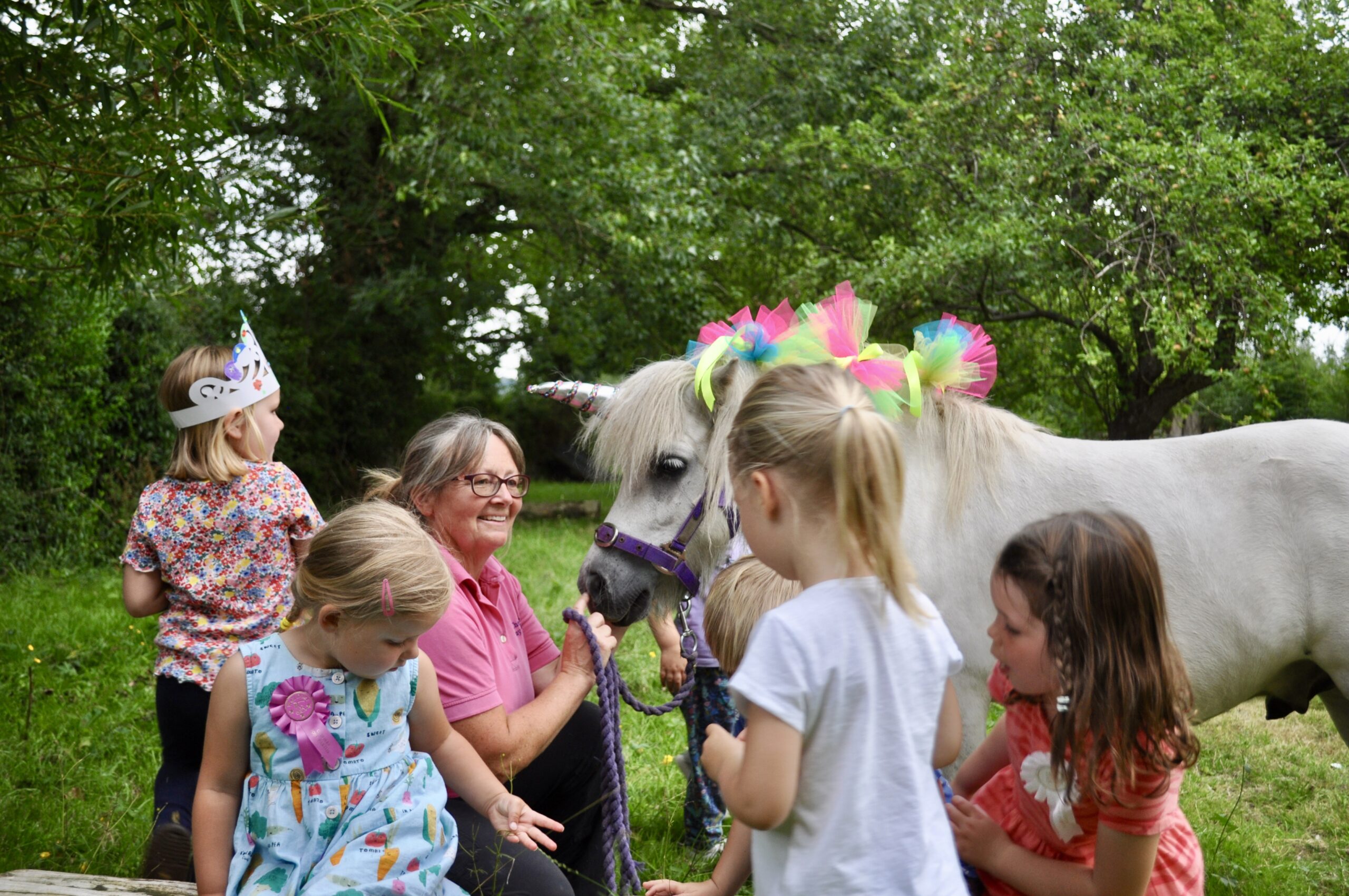 Luxury POny party Cheshire pony parties