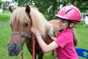 pony experience cheshire