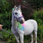 Deluxe unicorn party, Cheshire Pony Parties