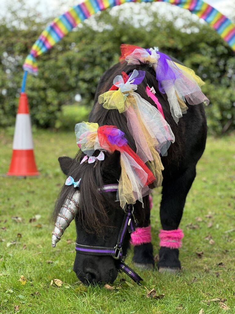 Magical winter unicorn parties